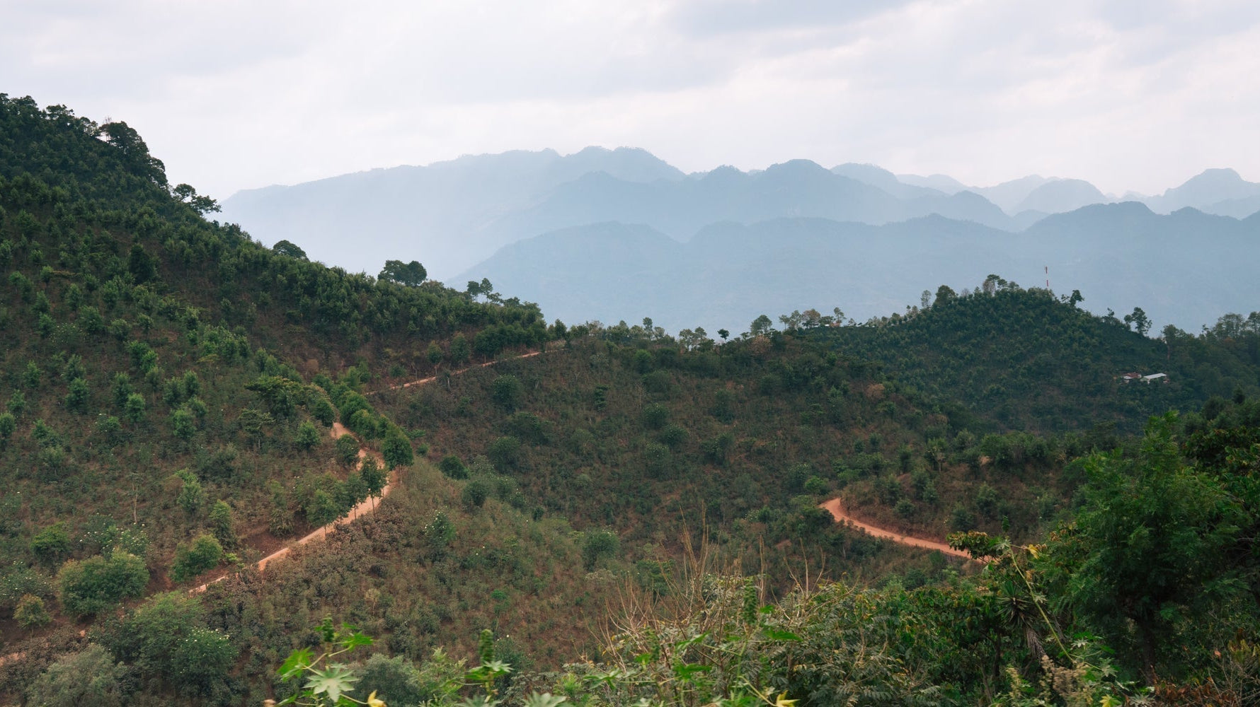 Field Notes - Guatemala Huehuetenango Sourcing Trip