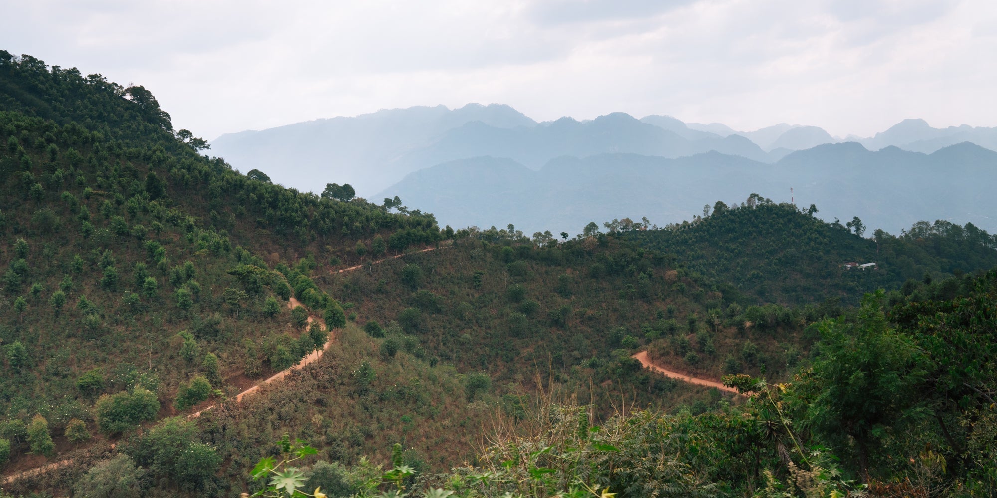 Field Notes - Guatemala Huehuetenango Sourcing Trip