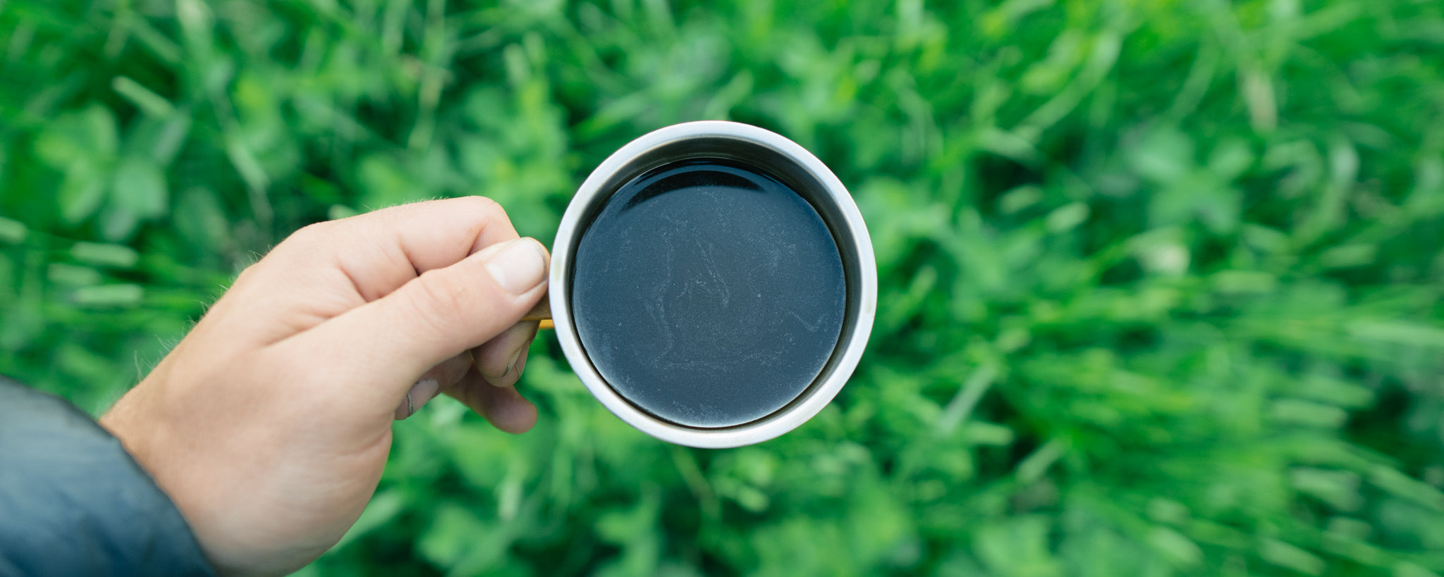 Coffee Cup in the Tall Grass